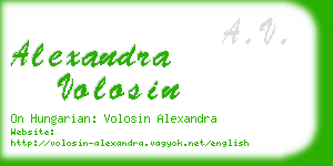 alexandra volosin business card